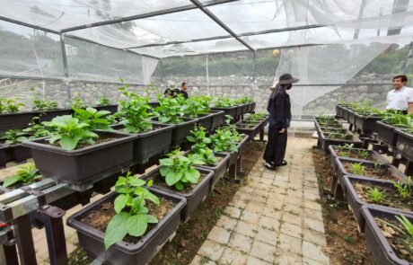 113年度頭份市下興社區施作成果