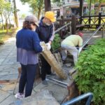 施作過程
