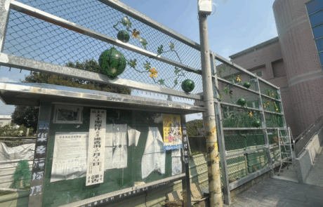 113年度通霄鎮坪頂社區發展協會施作成果