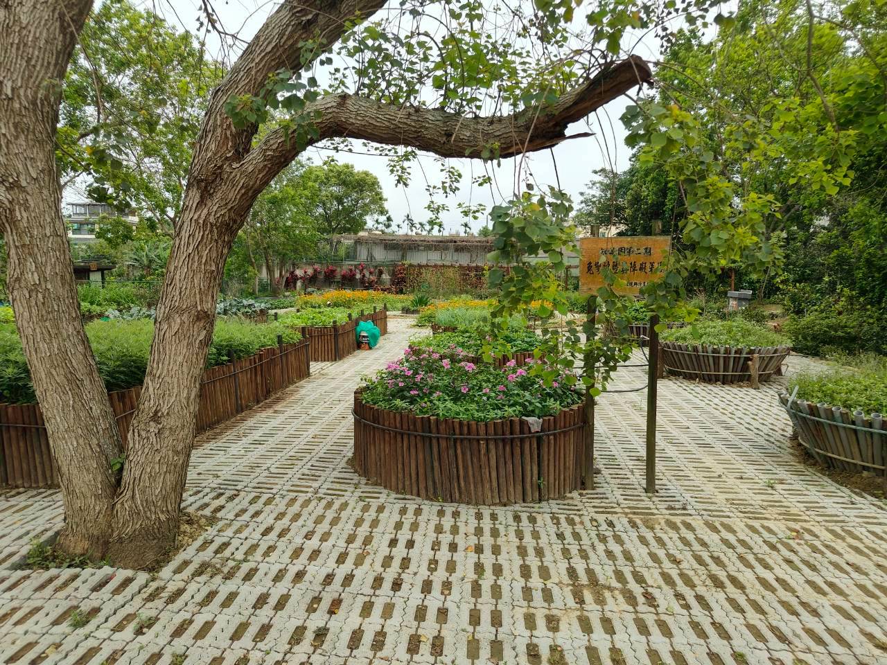 LINE_ALBUM_20260417縣外交流-新竹_260424_79