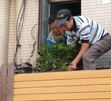 施作過程