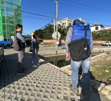 IMG_3625