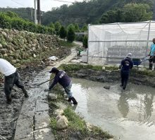 施作過程