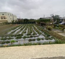 基地施作前